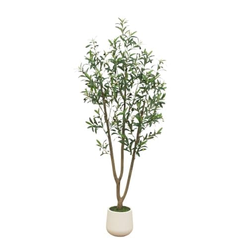 Indoor greenery styled in a living room