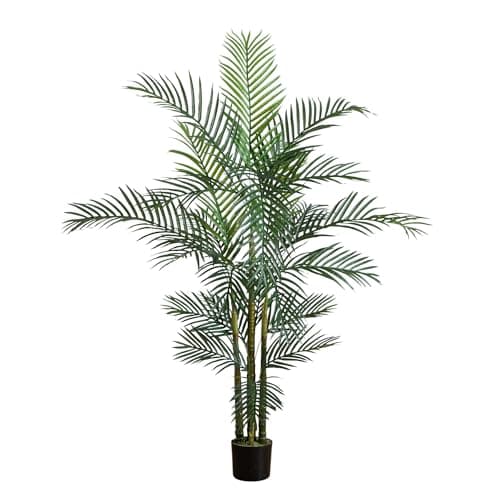 Indoor greenery styled in a living room