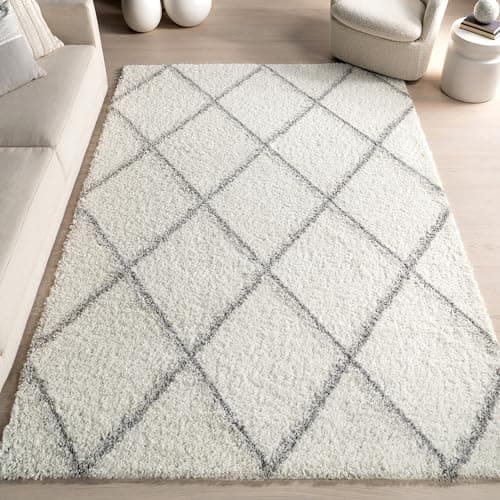 A textured area rug anchoring a living room