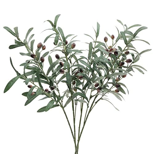 Indoor greenery styled in a living room