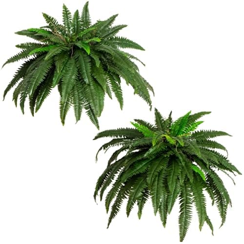 Indoor greenery styled in a living room